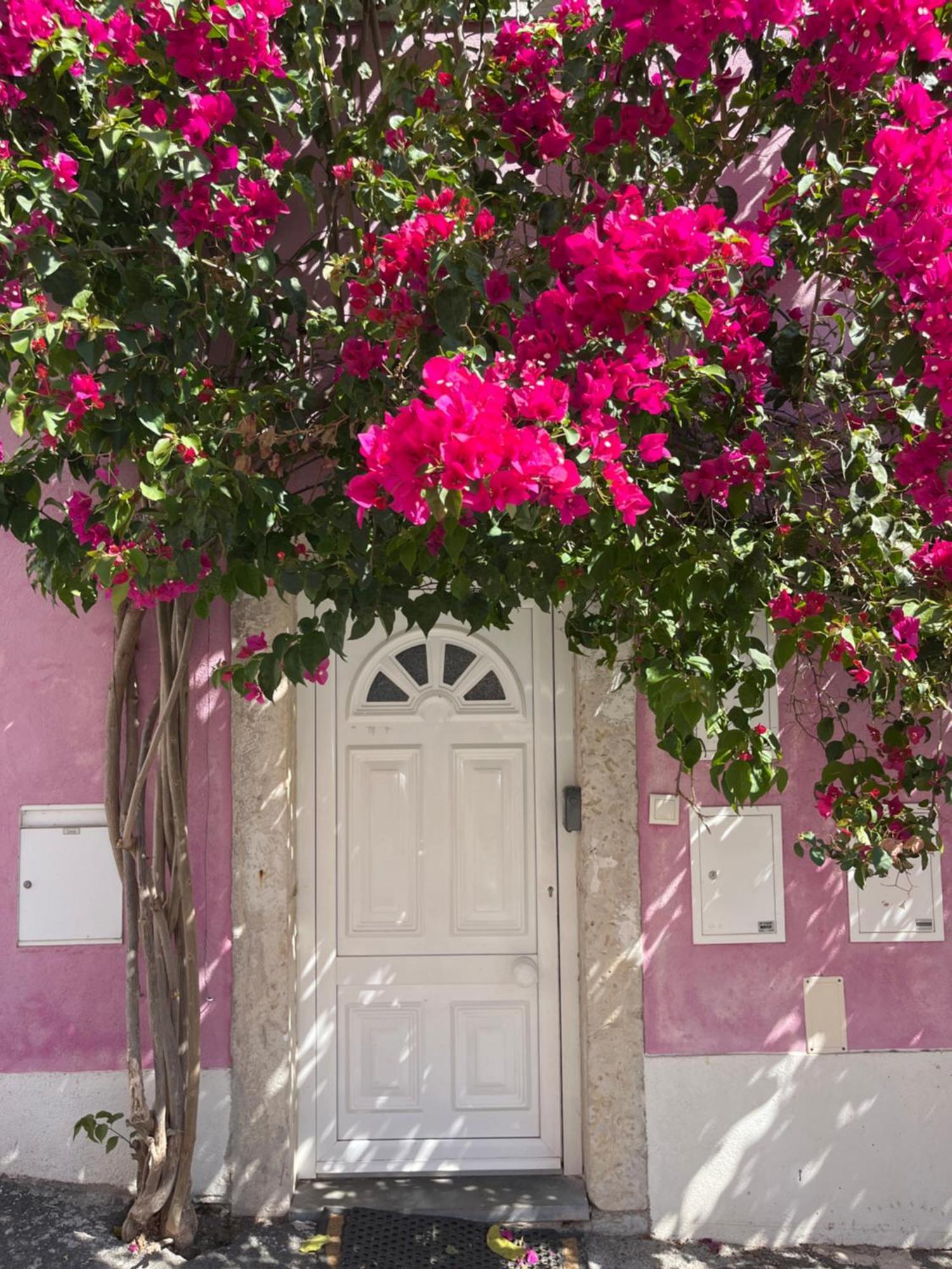 Apartmán Casa Cor De Rosa Lisboa Exteriér fotografie