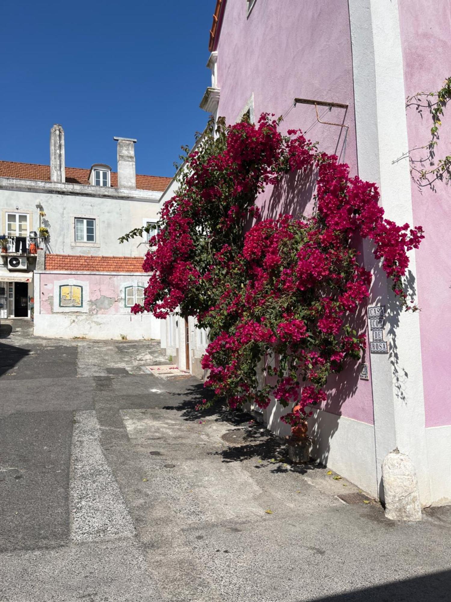 Apartmán Casa Cor De Rosa Lisboa Exteriér fotografie