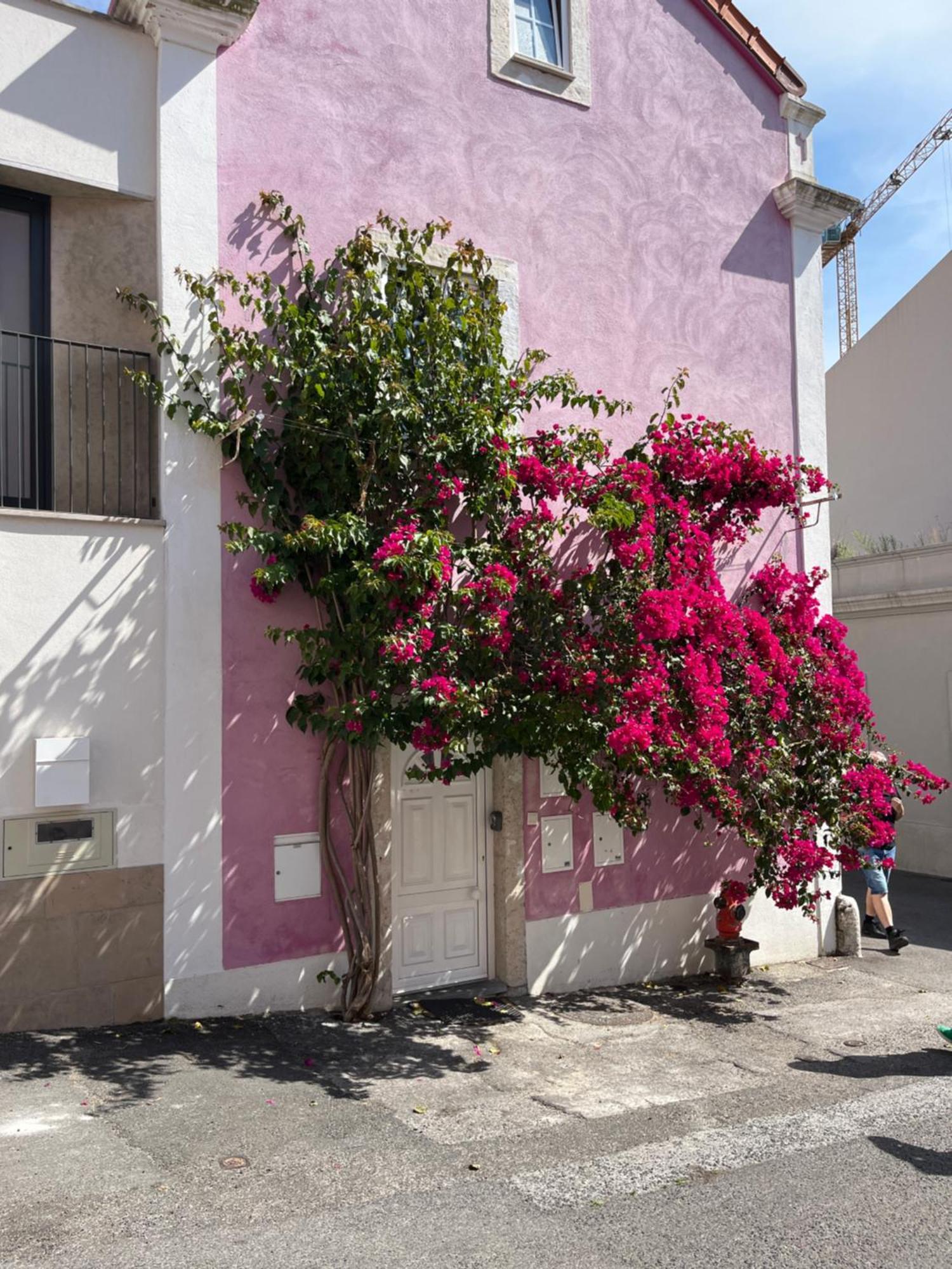 Apartmán Casa Cor De Rosa Lisboa Exteriér fotografie